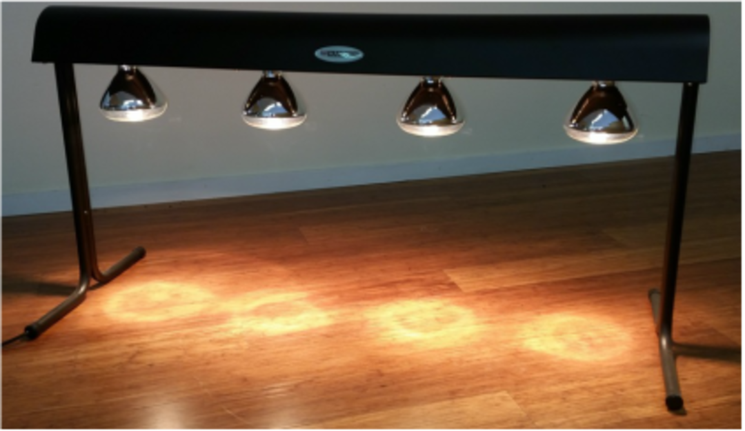 4 Bulk Heat Lamps - Bulbs Included image 0